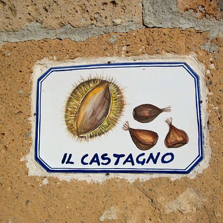 Agriturismo Cerqueto 阿夸彭登泰 客房 照片