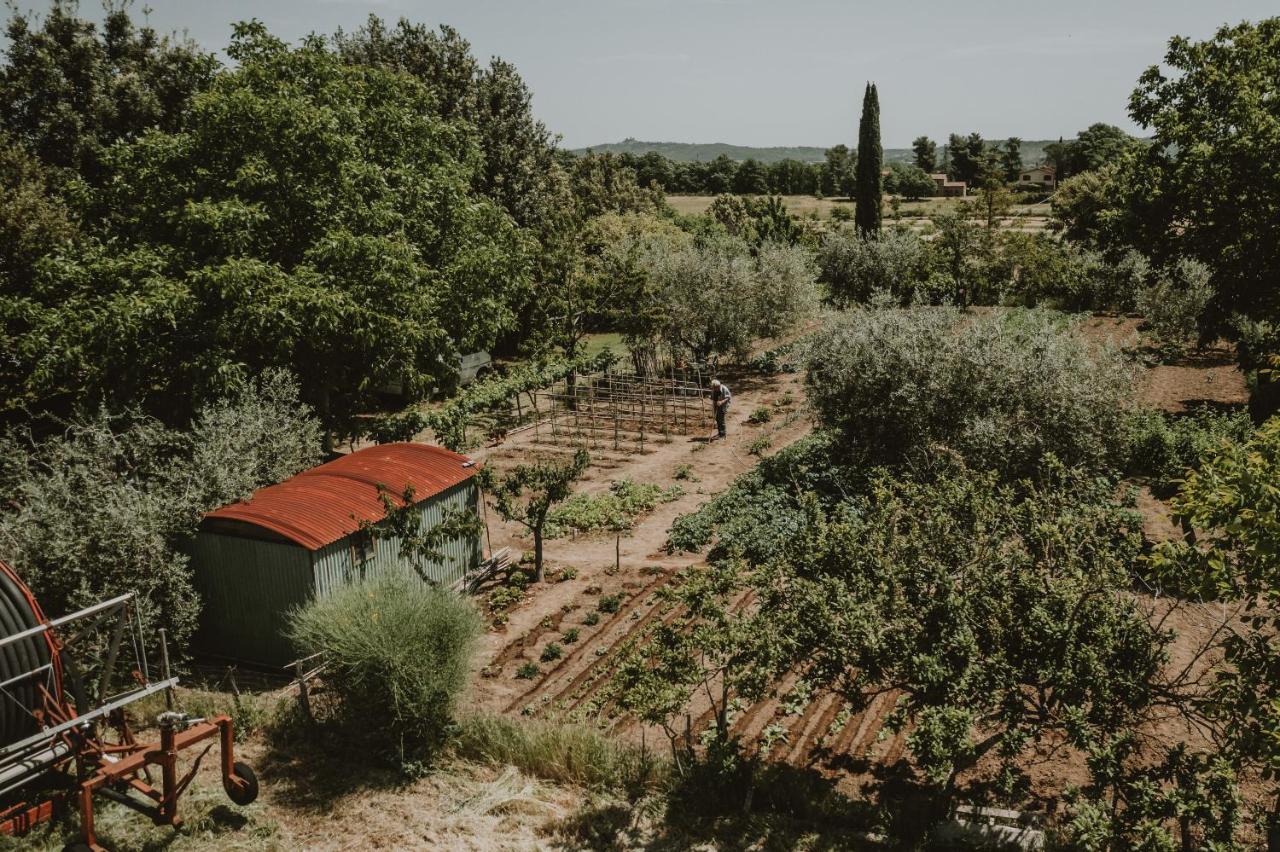 Agriturismo Cerqueto 阿夸彭登泰 外观 照片