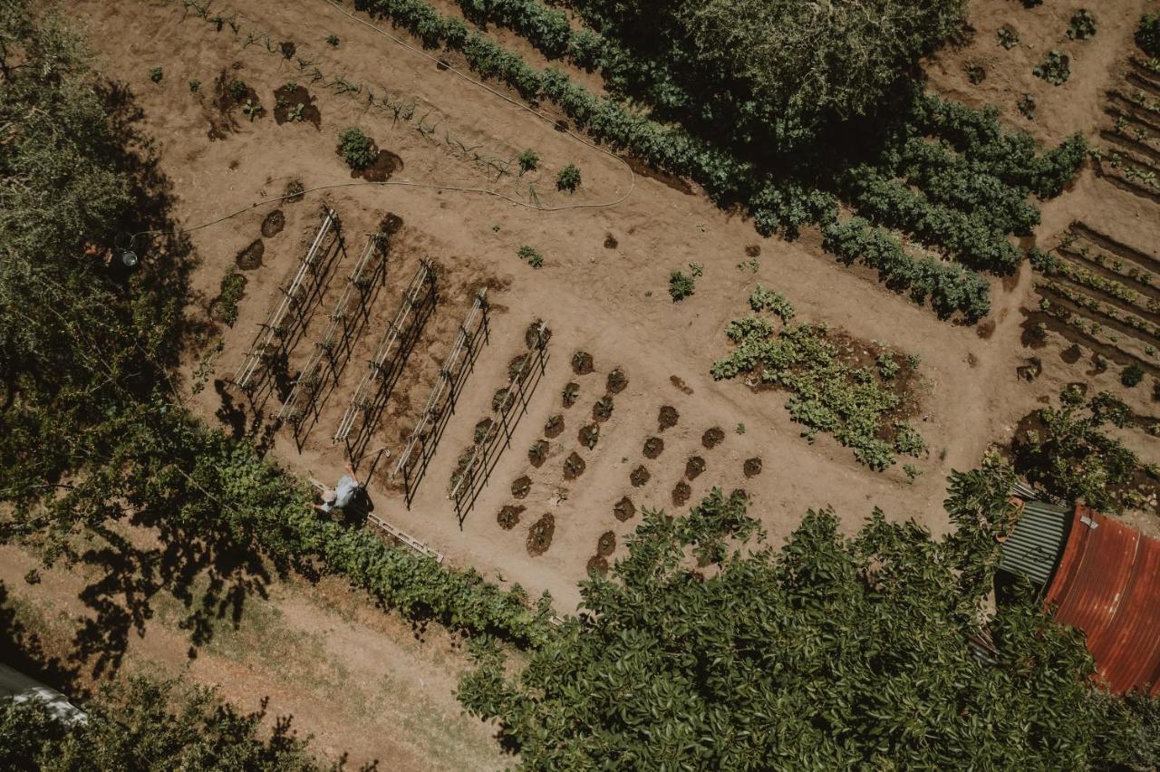 Agriturismo Cerqueto 阿夸彭登泰 外观 照片