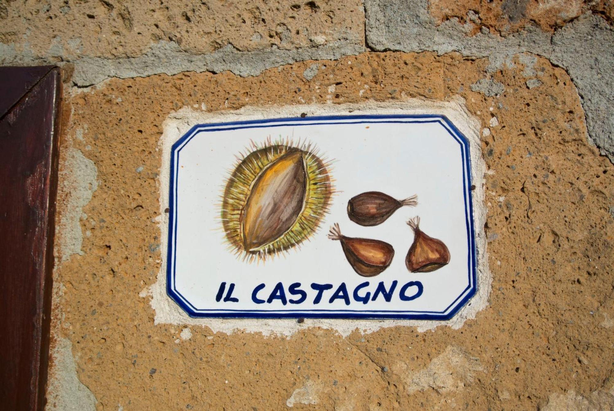 Agriturismo Cerqueto 阿夸彭登泰 客房 照片